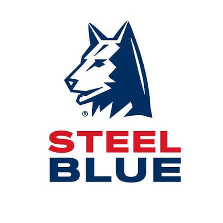 Steel Blue werkschoenen